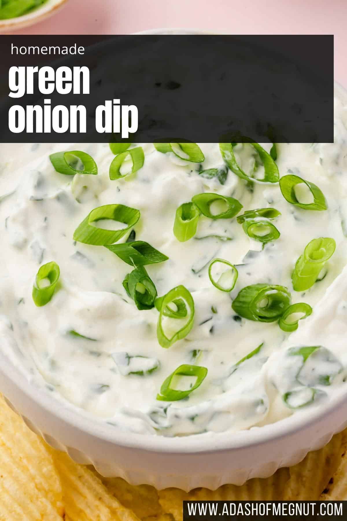 A close up of sour cream green onion dip in a bowl topped with sliced green onions.