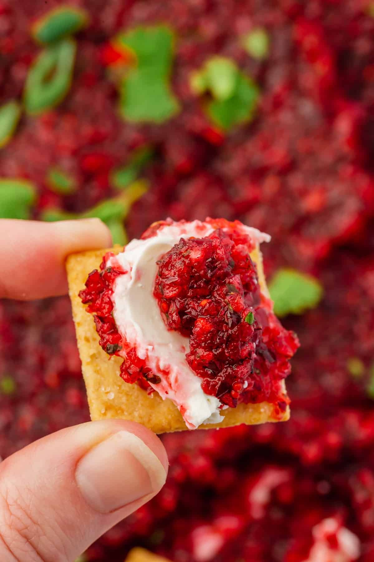 A hand holding a gluten-free cracker topped with cream cheese and cranberry jalapeño salsa.