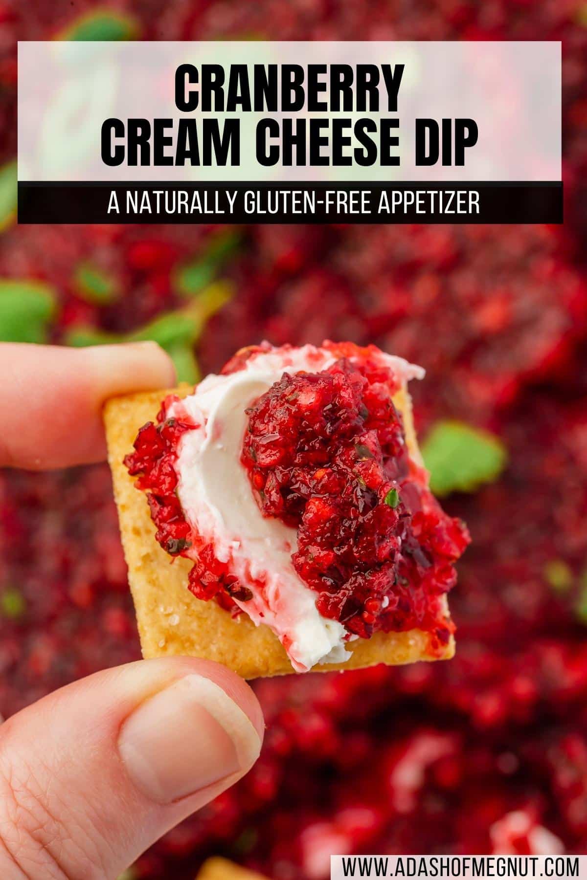 A hand holding a gluten-free cracker topped with cream cheese and cranberry jalapeño salsa.