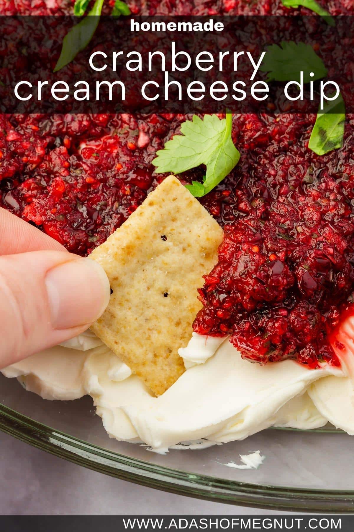 A hand dipping a gluten-free cracker into cranberry cream cheese dip topped with cilantro and green onion.