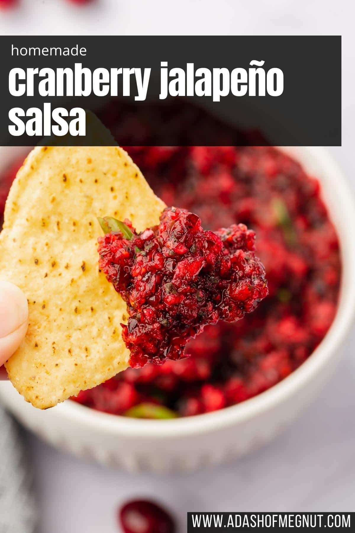 A tortilla chip with a scoop of cranberry salsa on it with a bowl of salsa below it.