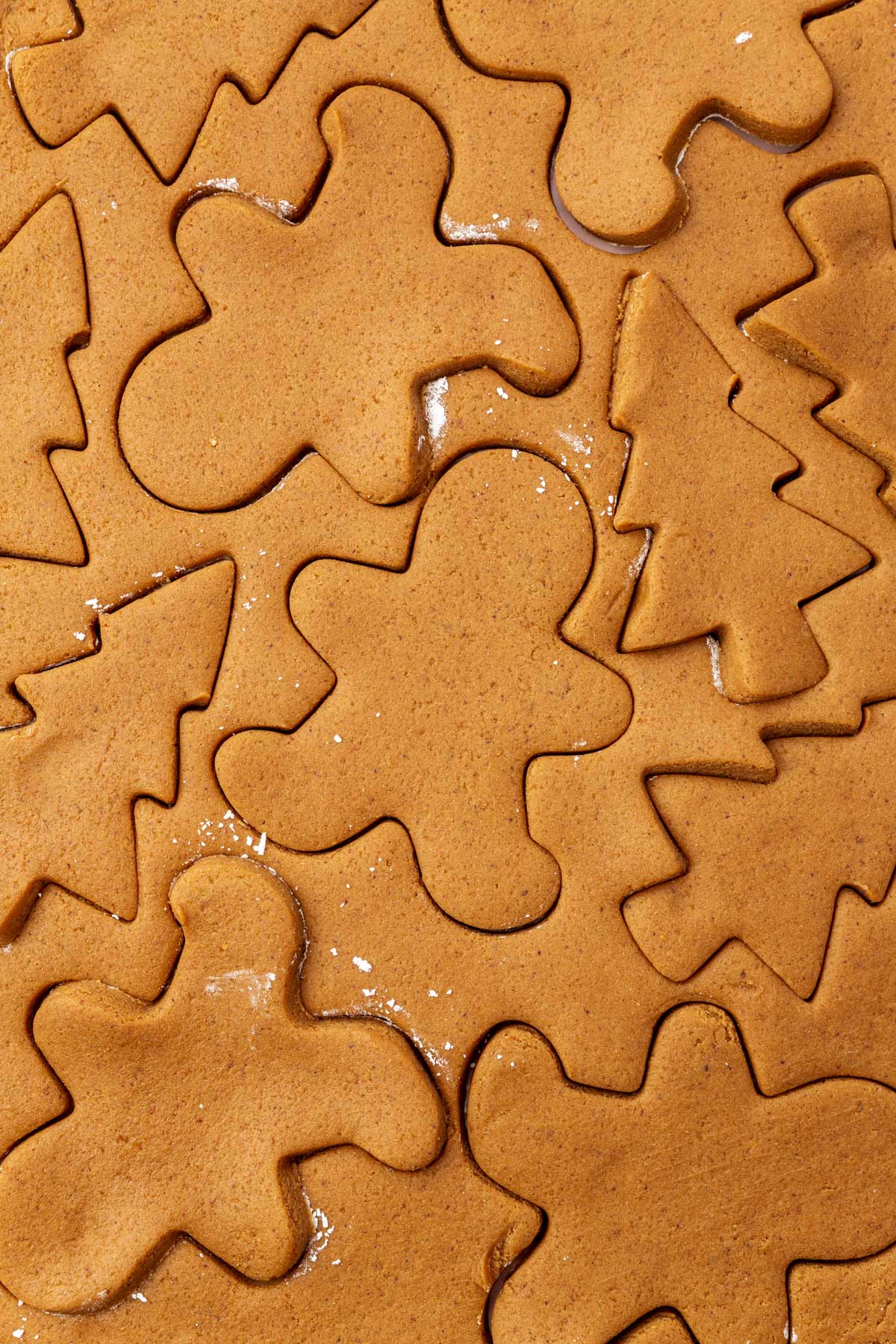 Gluten-free gingerbread cookie dough rolled out on parchment paper with gingerbread men and Christmas trees cut out of them.