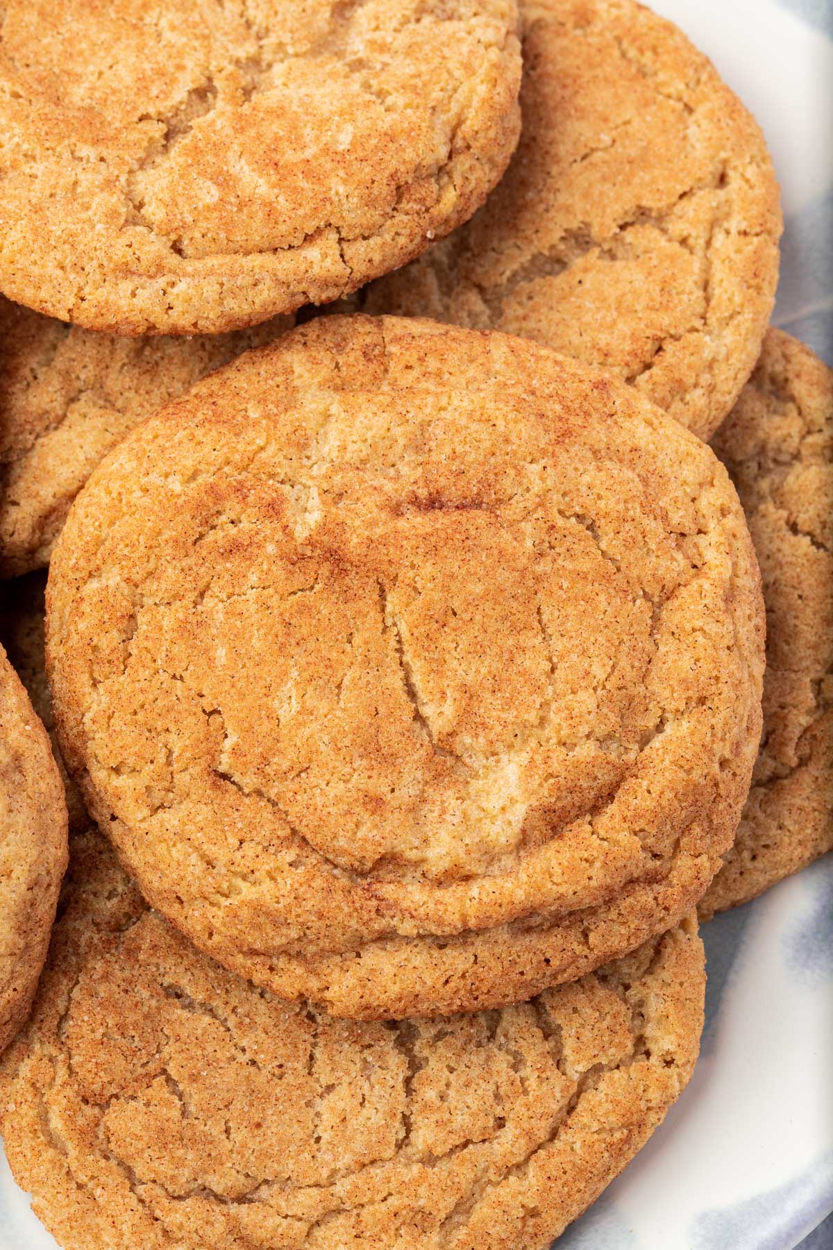 Gluten-Free Snickerdoodles