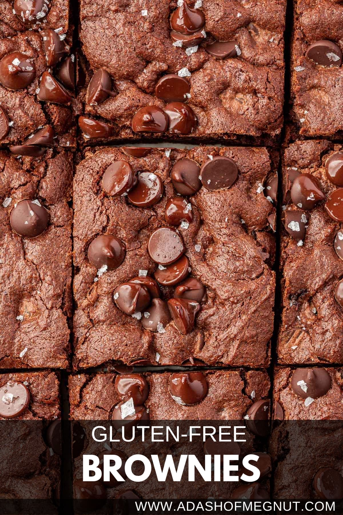 An overhead view of gluten-free brownies cut into 9 equal pieces and topped with semi-sweet chocolate chips and flaky sea salt with a text overlay.