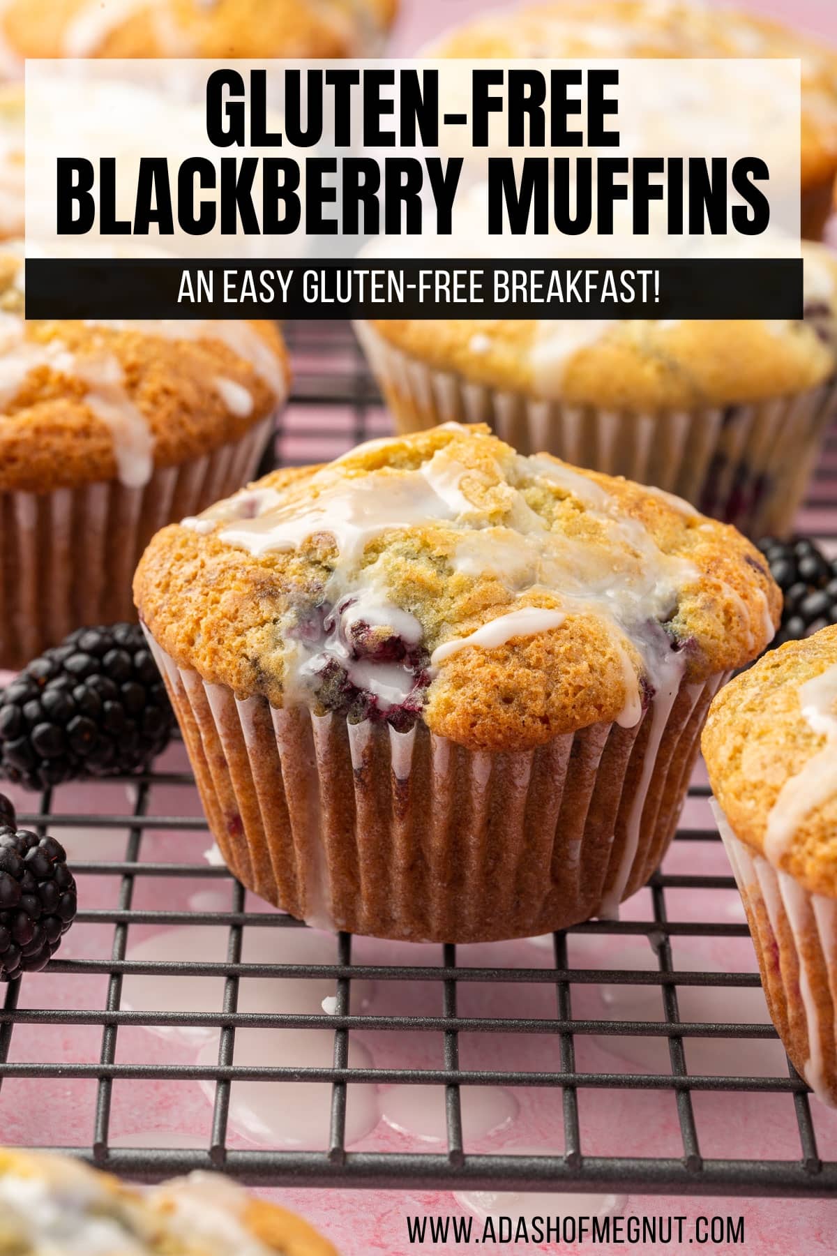 A closeup of a blackberry muffin that is gluten-free cooling on a wire rack.