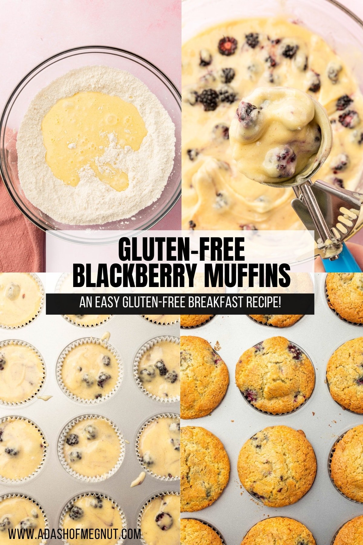 A four photo collage showing the process of making gluten free blackberry muffins. Photo 1: Wet ingredients are added to the dry ingredients in a glass mixing bowl. Photo 2: A ice cream scooper is filled with gluten-free blackberry muffin batter. Photo 3: A silver muffin tin is filled with blackberry muffin batter before baking. Photo 4: An overhead view of 12 blackberry muffins baked in a muffin tin.