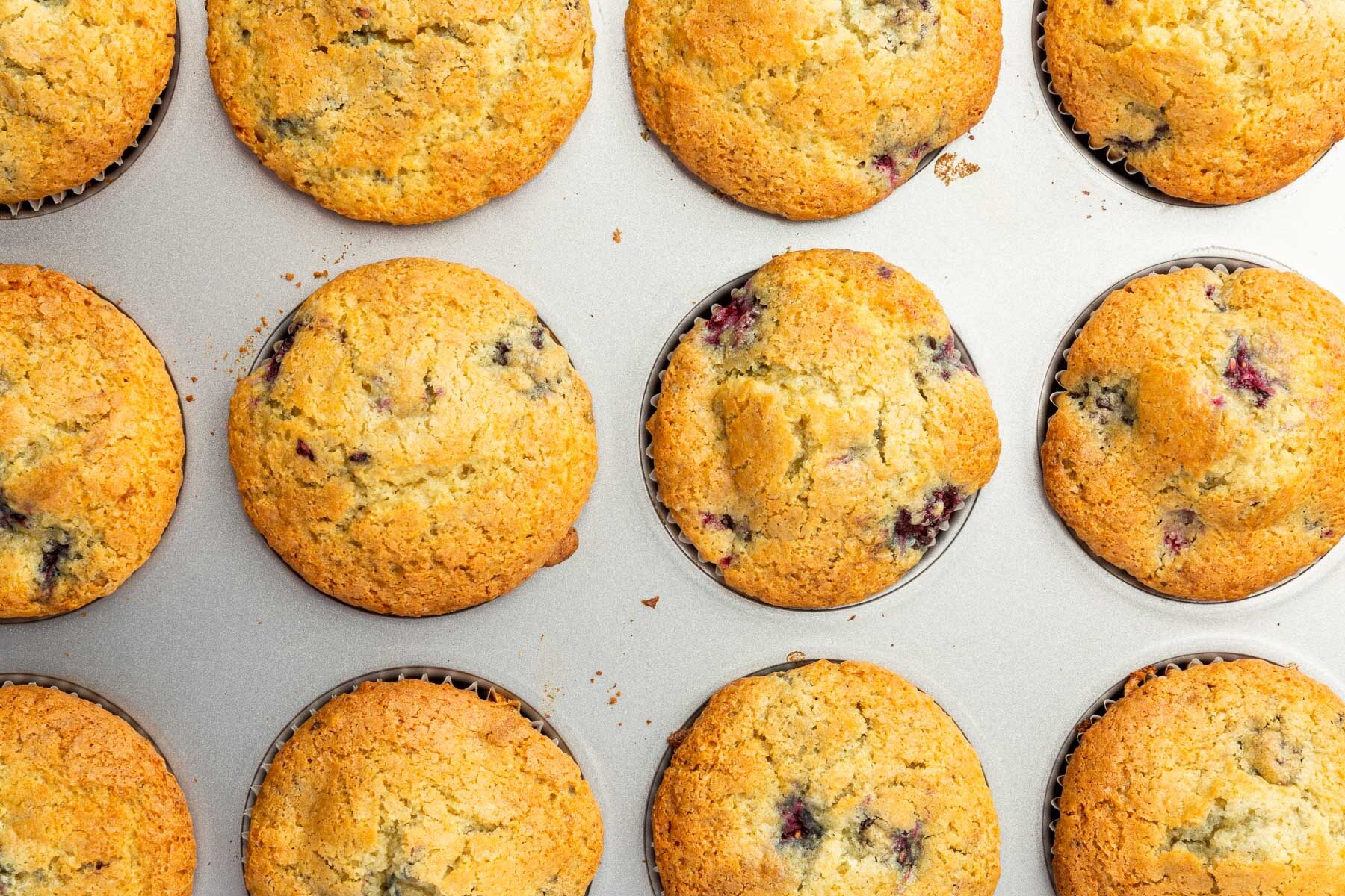 A closeup of gluten-free blackberry muffins in a silver muffin tin.
