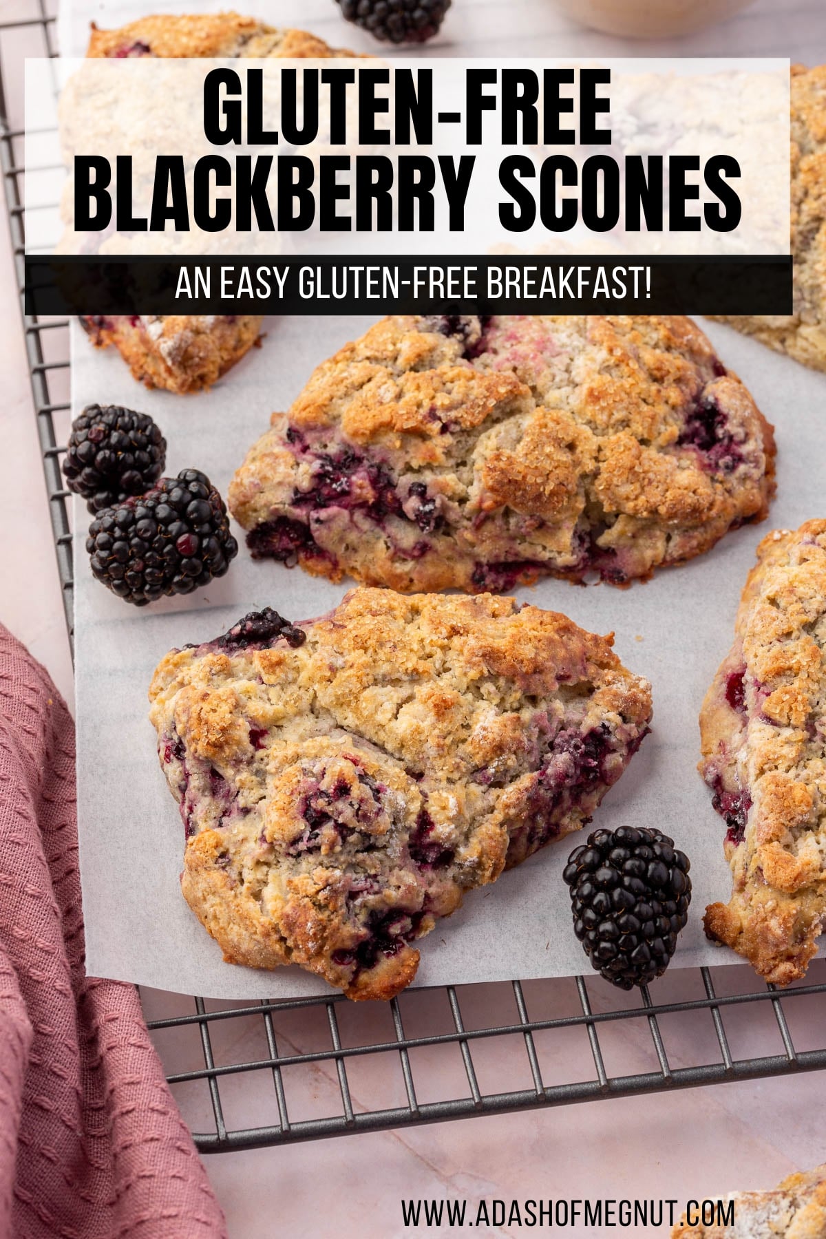 A gluten free blackberry scone cooling on a wire cooling rack with fresh blackberries and more scones surrounding it.