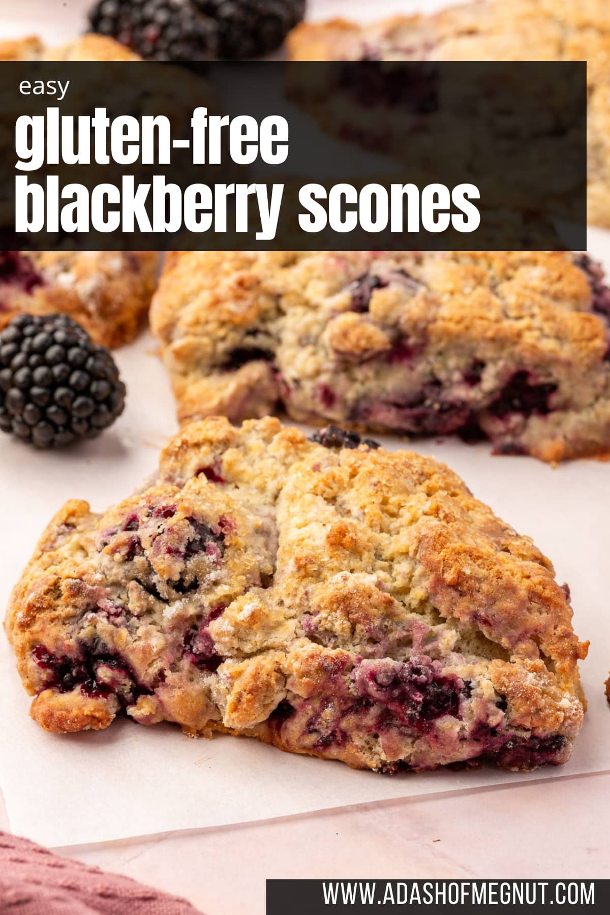 A close up of a gluten-free blackberry scone on a piece of parchment paper with more scones and fresh blackberries in the background.
