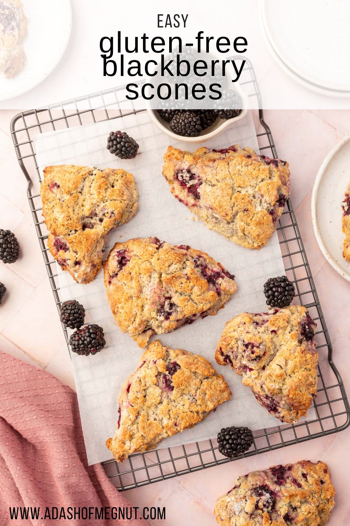 An overhead view of gluten free blackberry scones on a wire cooling rack lined with parchment paper and a bowl of blackberries to the side.
