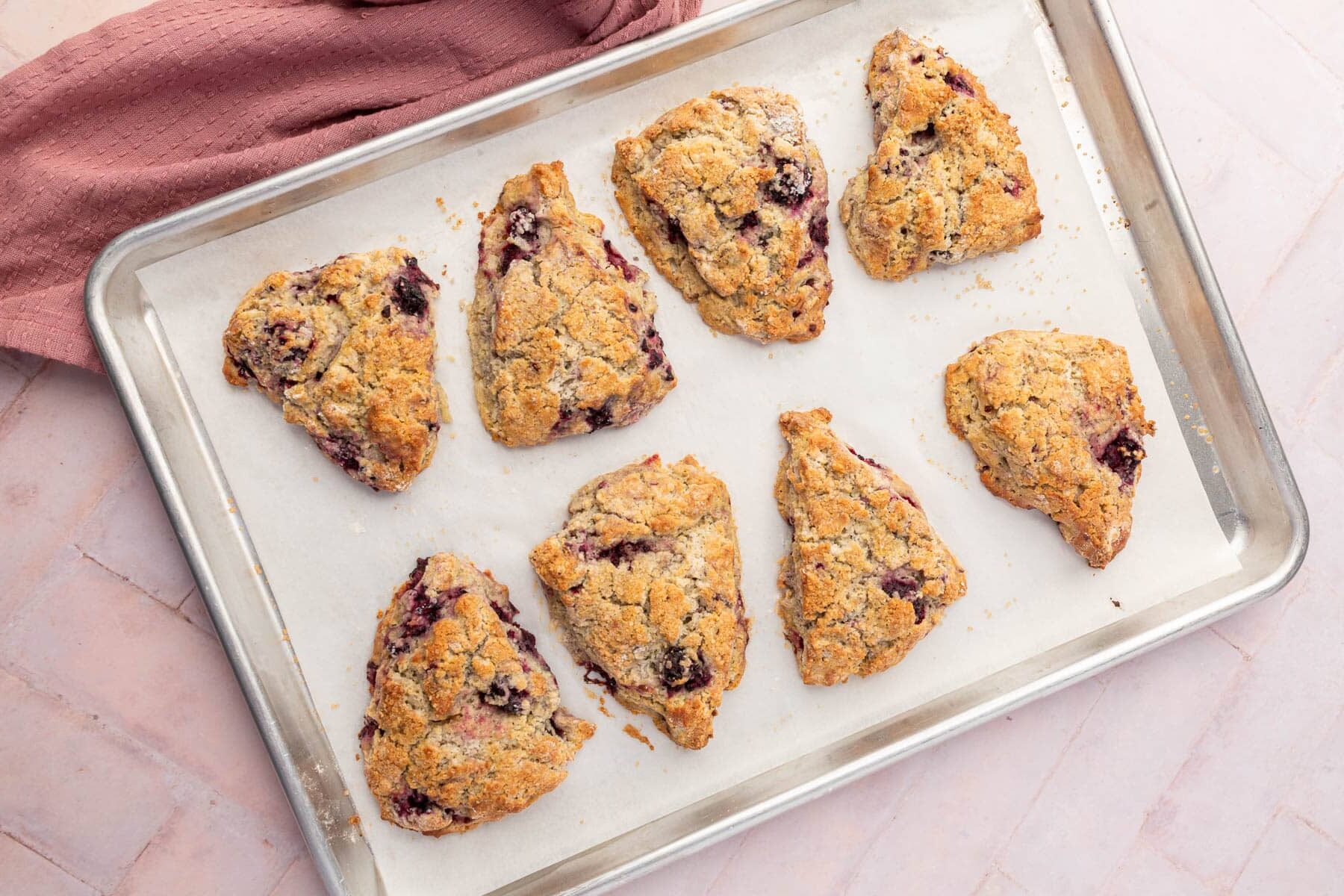 An overhead view of gf blackberry scones on a baking sheet lined with parchment paper.