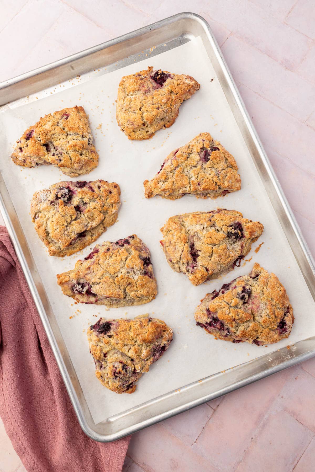 An overhead view of gf blackberry scones on a baking sheet lined with parchment paper.