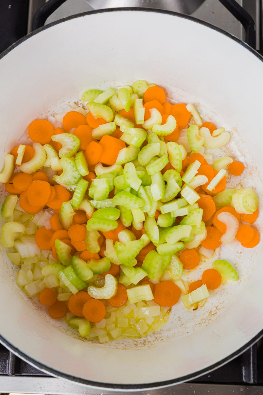 Gluten-Free Chicken Noodle Soup - A Dash of Megnut