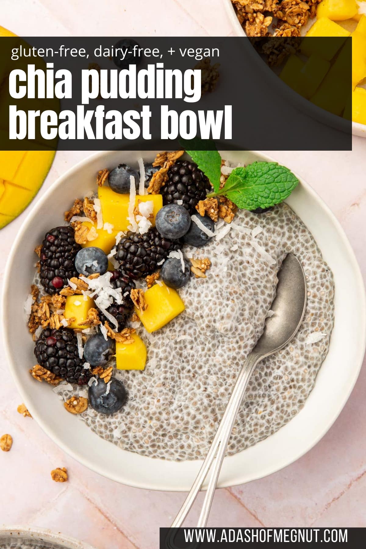 A chia pudding breakfast bowl with blackberries, mango, blueberries, coconut, granola and a mint leaf with a spoon in the bowl.