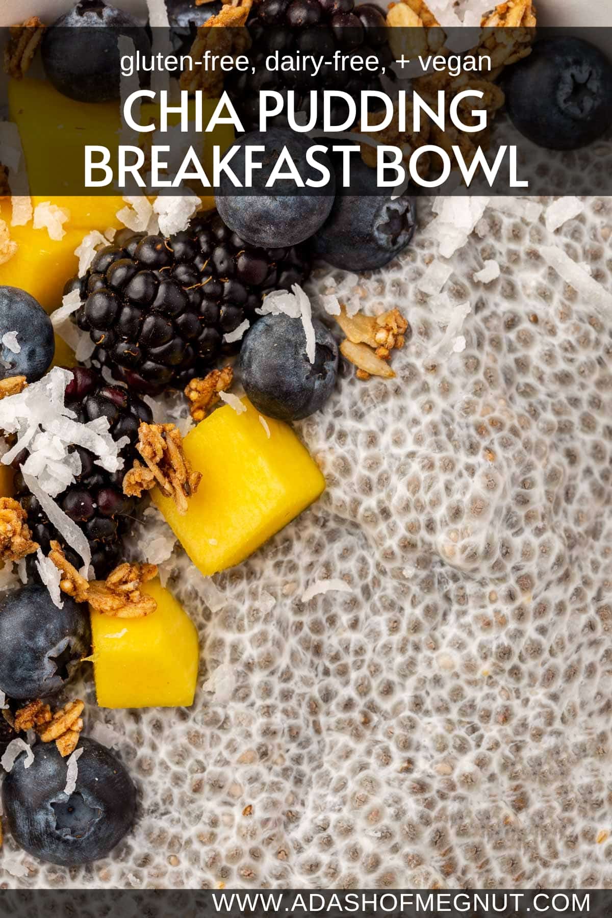 A close up of chia pudding with blackberries, cubed mango, blueberries, coconut shreds and gluten-free granola.
