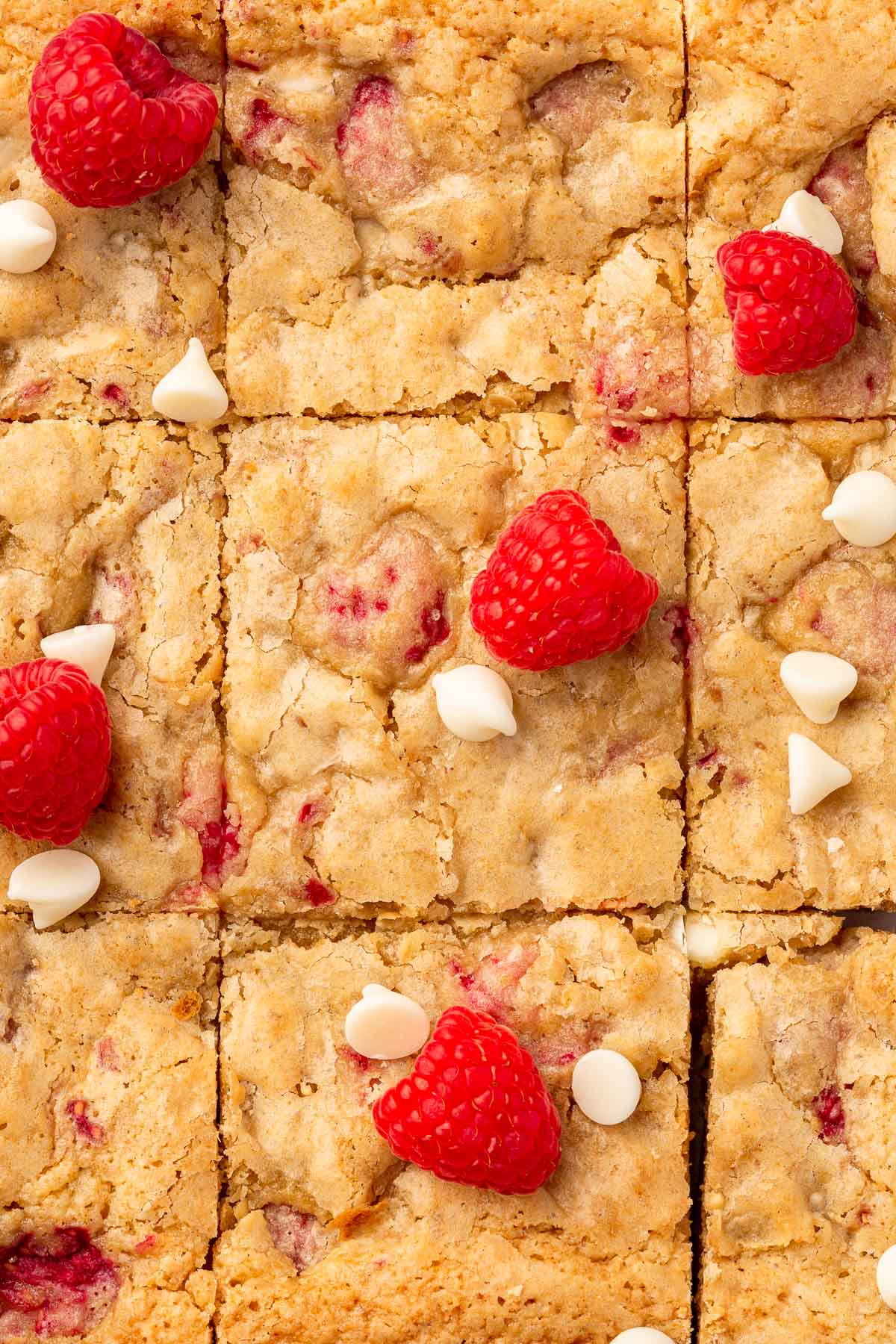 A close up of a slab of gf white chocolate raspberry blondies cut into 9 equal squares with fresh raspberries and white chocolate chips decorating the top.