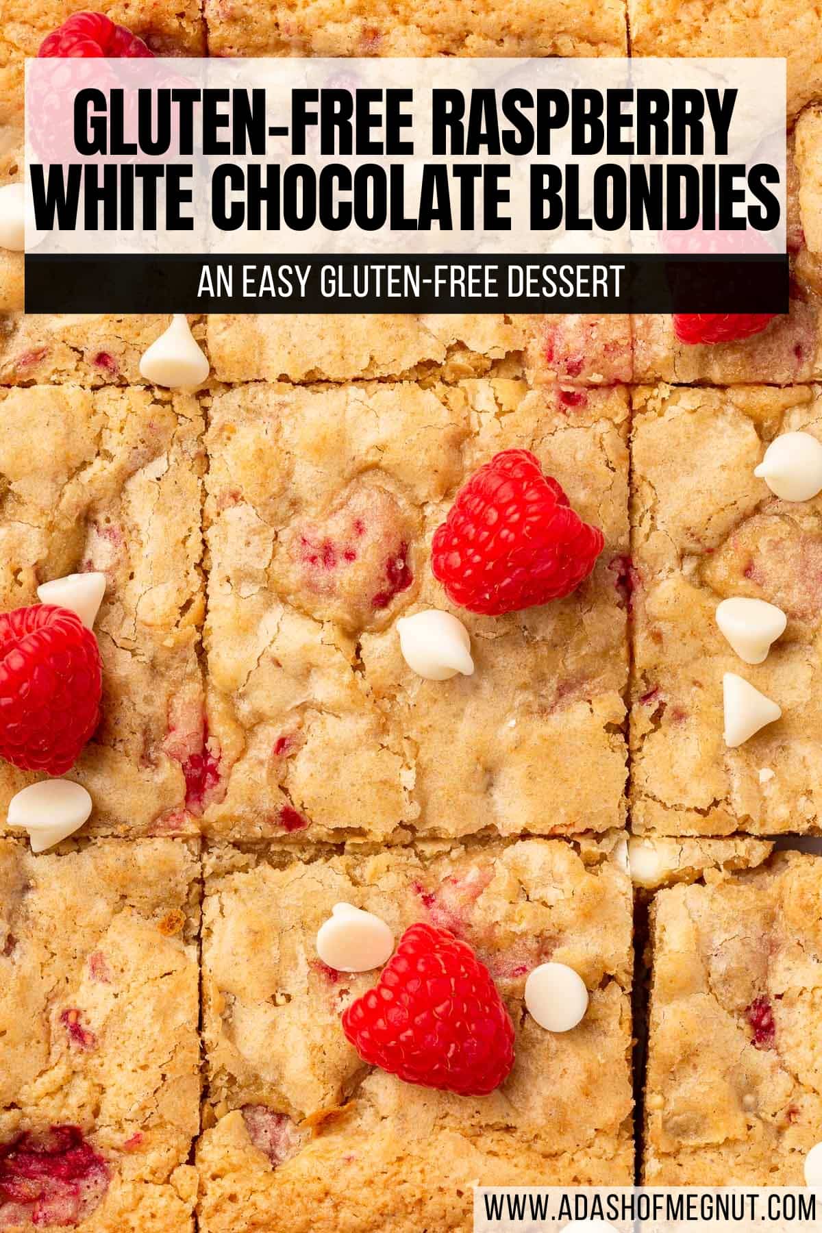 A close up of a slab of gluten free raspberry white chocolate blondies cut into 9 equal sections with fresh raspberries and white chocolate chips on top.