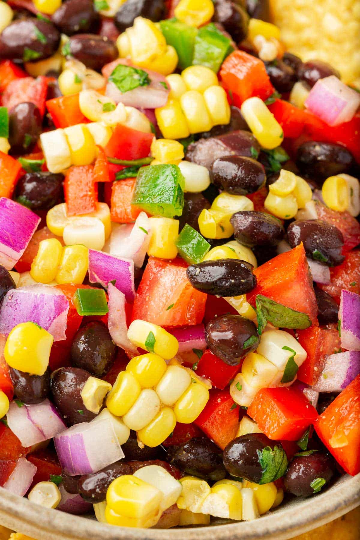 A close up of black bean corn salsa with jalapeño, red onion, tomato, and cilantro.