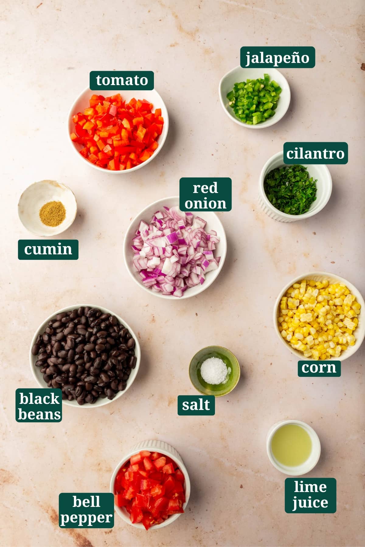 An overhead view of ingredients in small bowls to make a black bean corn salsa, including tomato, jalapeño, red onion, cilantro, cumin, black beans, salt, corn, bell pepper, and lime juice with text overlays over each ingredient.