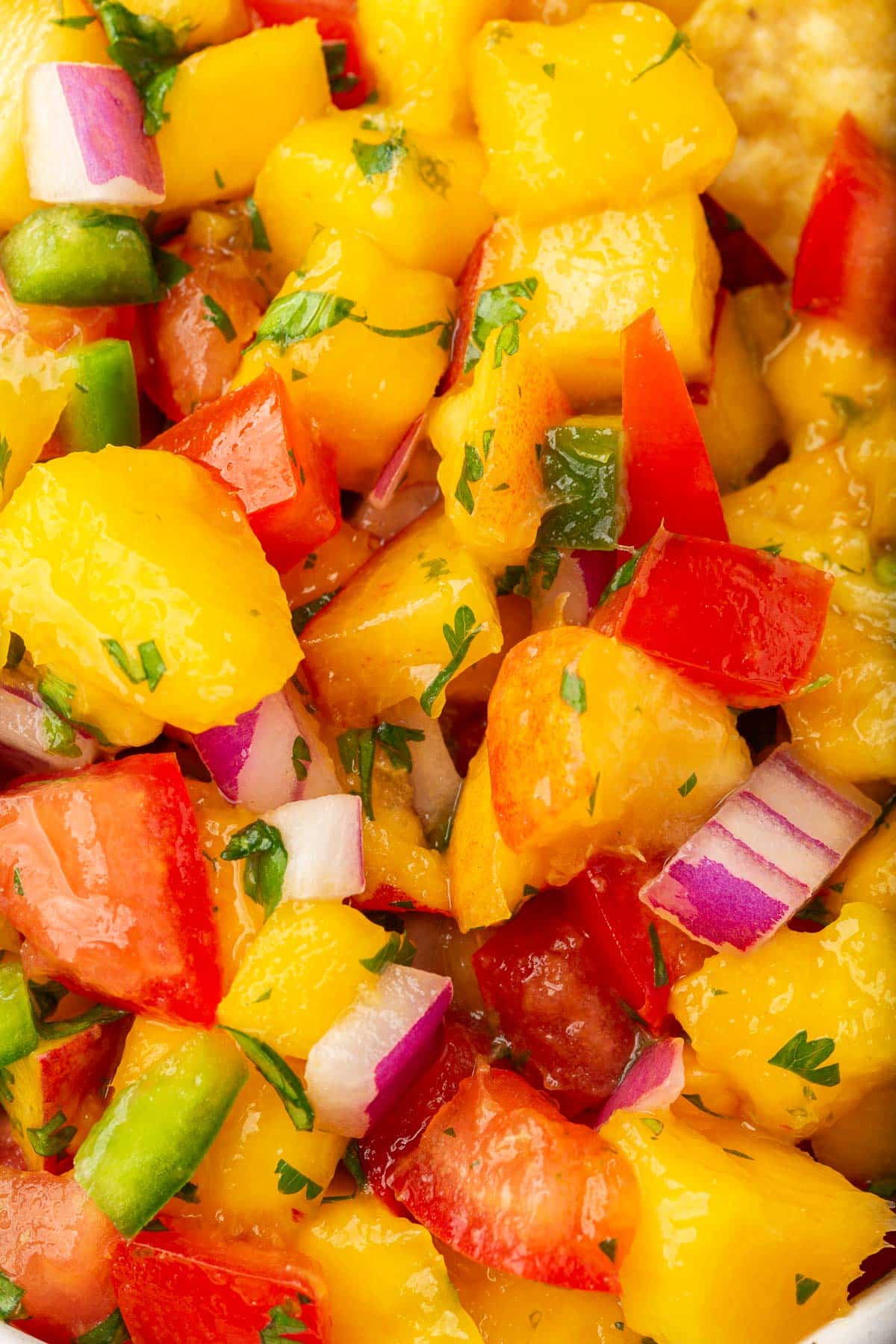 A close up of a peach mango salsa with red onions, tomatoes and cilantro.