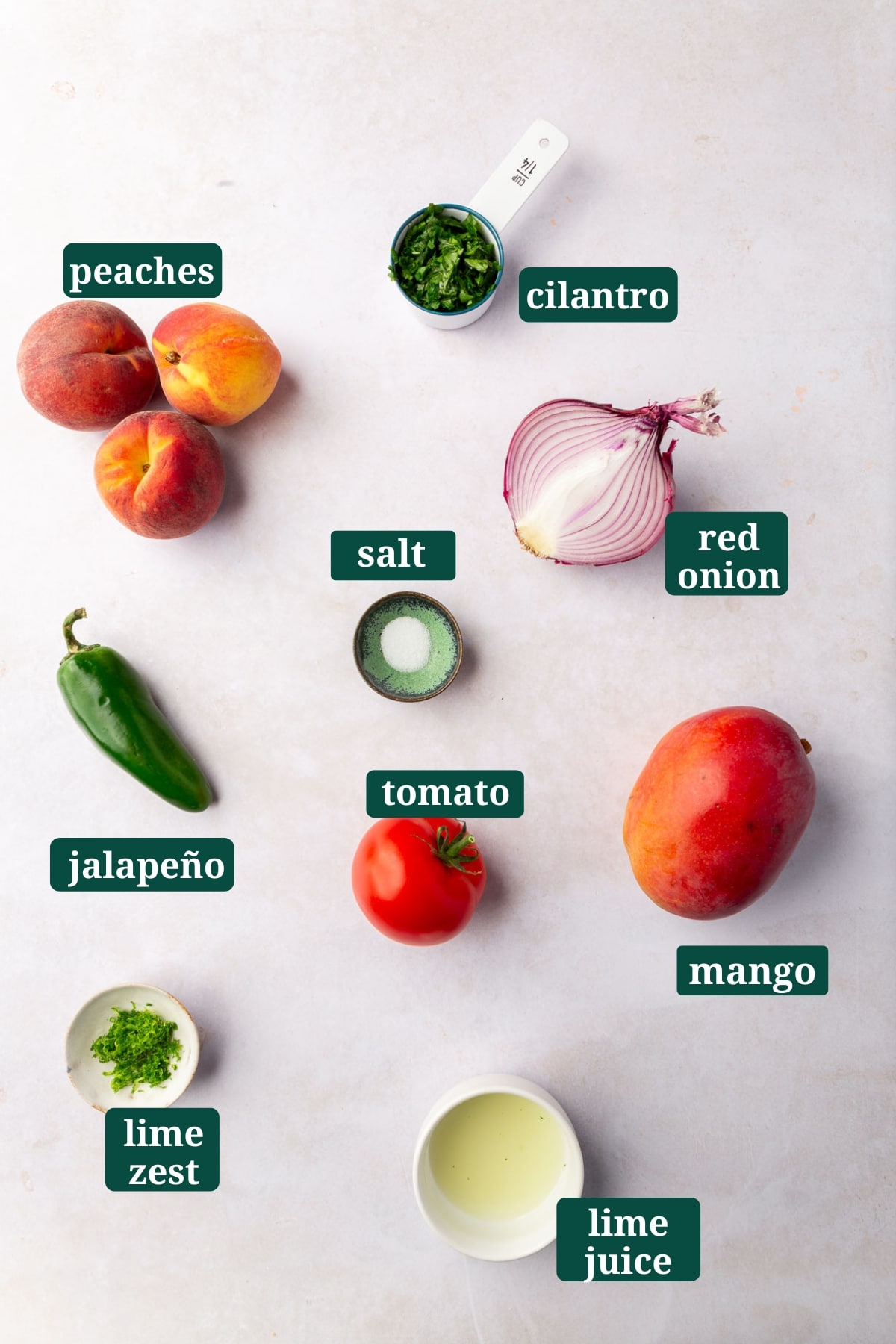 An overhead view of ingredients to make peach mango salsa in small bowls, including peaches, cilantro, salt, red onion, jalapeño, tomato, mango, lime zest, and lime juice with text overlays over each ingredient.