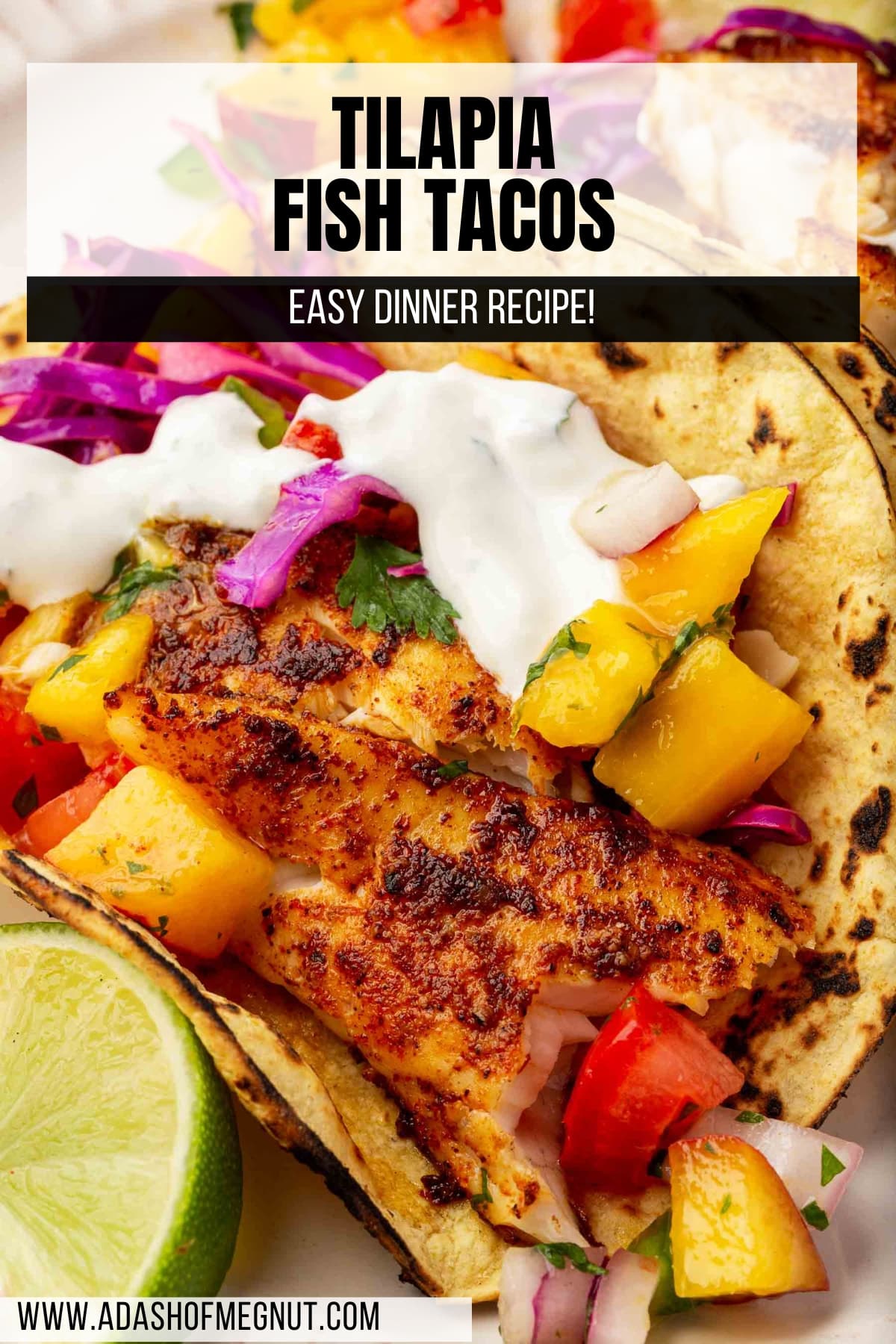 A close up of a blackened tilapia fish taco topped with mango peach salsa and sour cream in a charred corn tortilla.