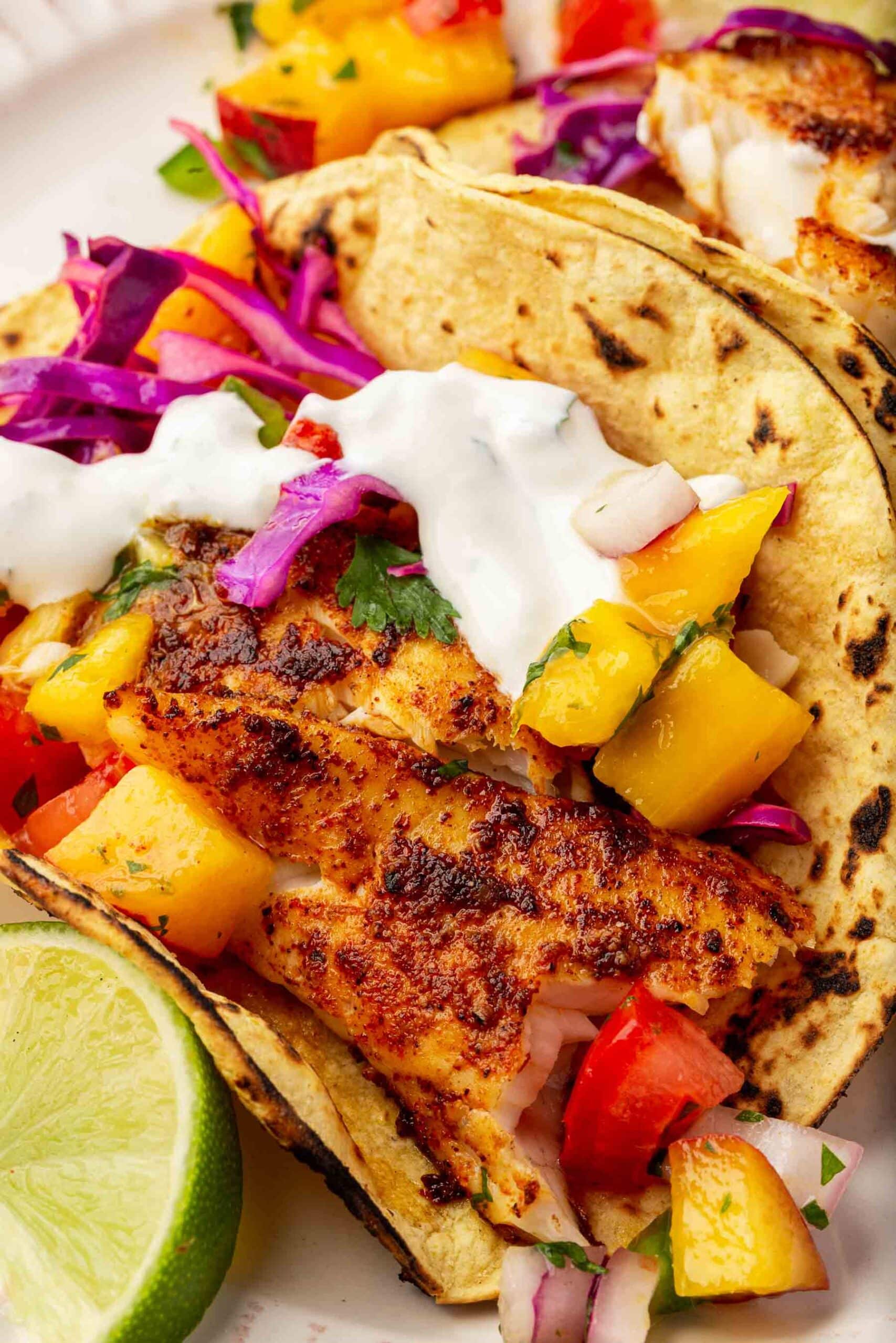 A close up of a tilapia fish taco topped with crema, fruit salsa, red cabbage slaw and cilantro on charred corn tortilla.