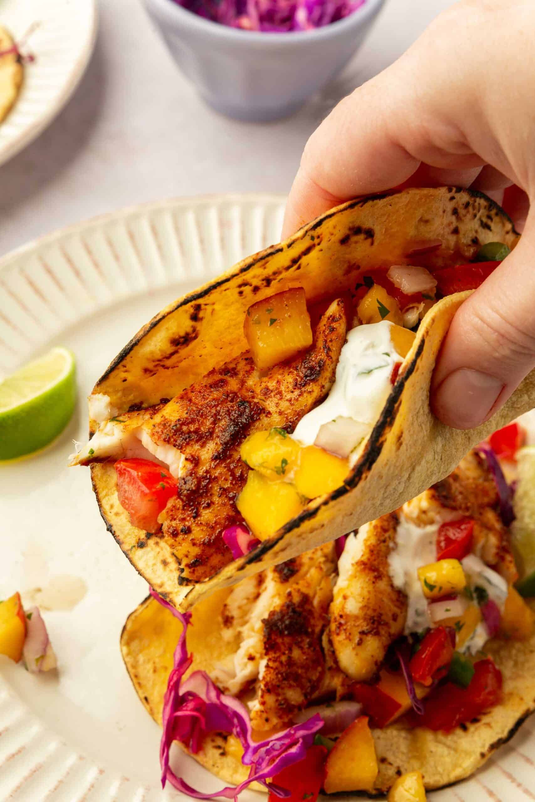 A hand holding a fish taco in a charred corn tortilla with fruit salsa, and cilantro crema.