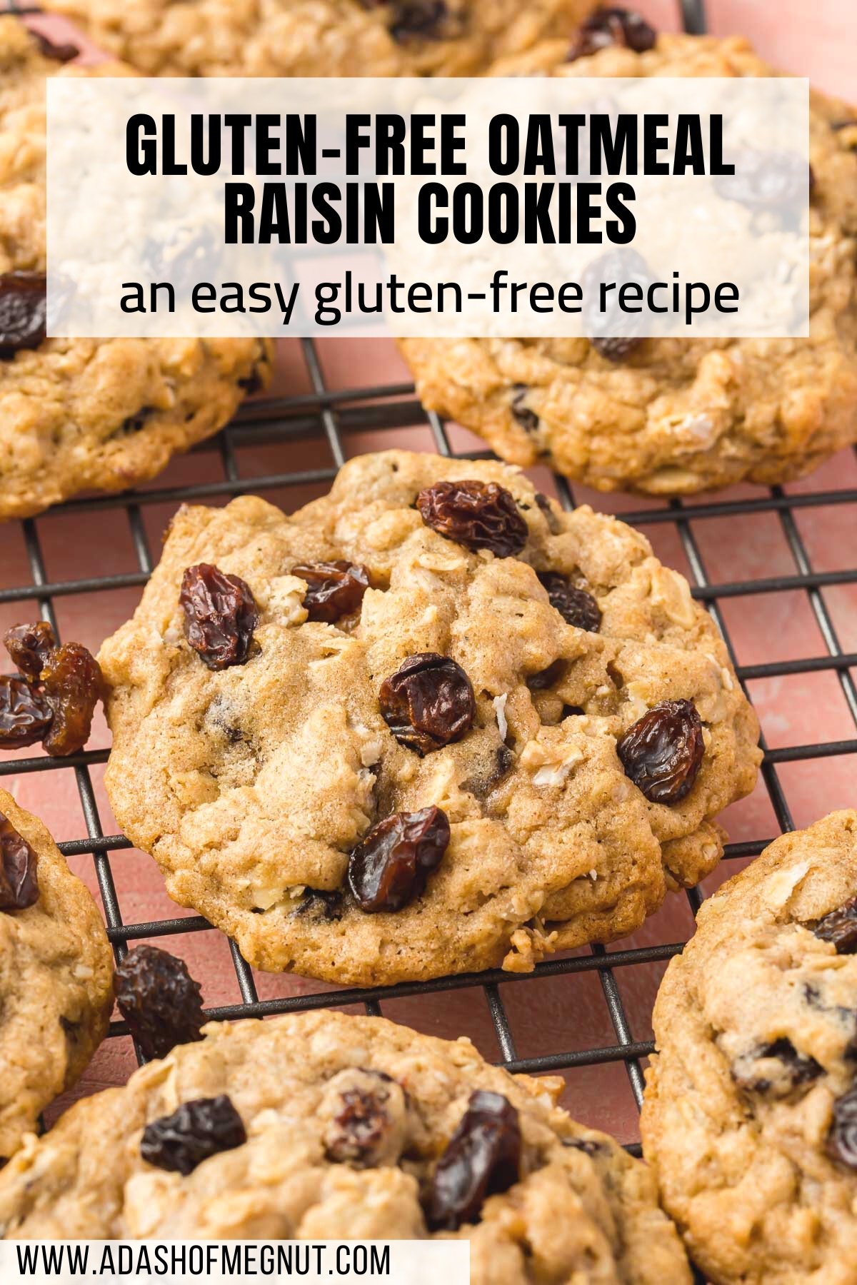 Gluten free oatmeal raisin cookies cooling on a wire rack on a pink table.