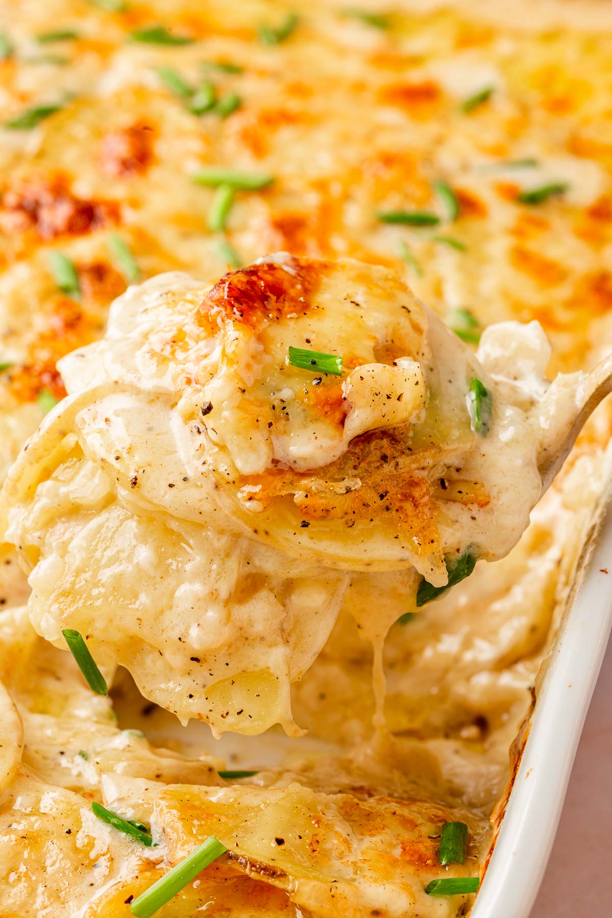 A gold serving spoon scooping a large mound of gluten-free scalloped potatoes out of a baking dish.