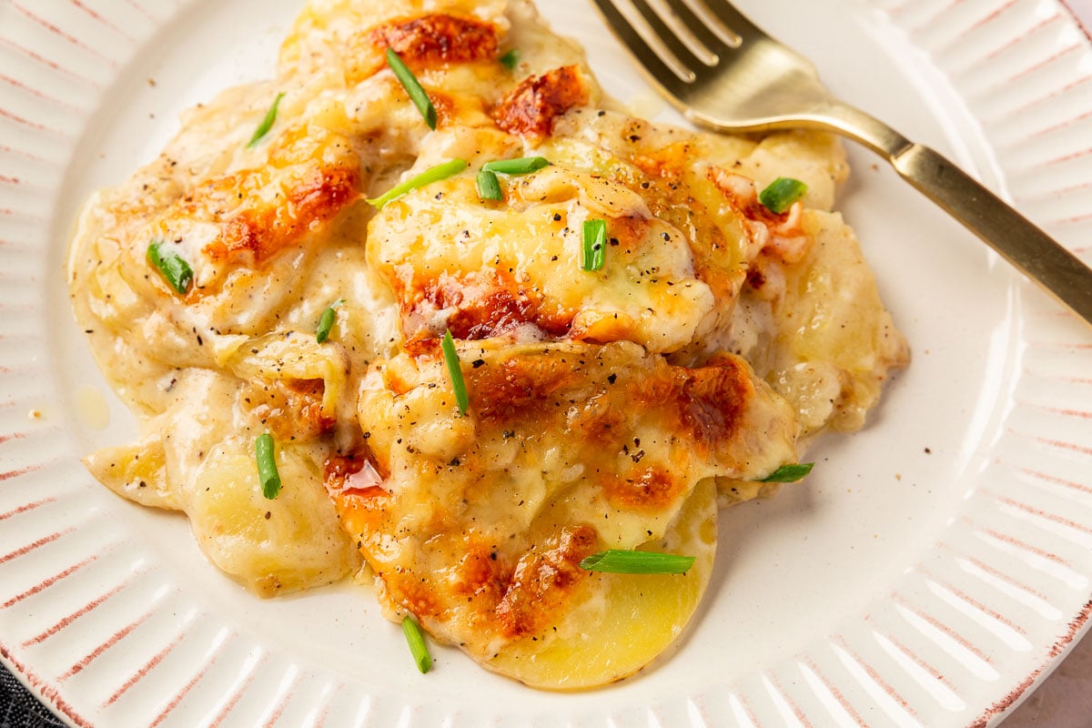 A dinner plate with a mound of gluten free scalloped potatoes topped with chives and a fork.