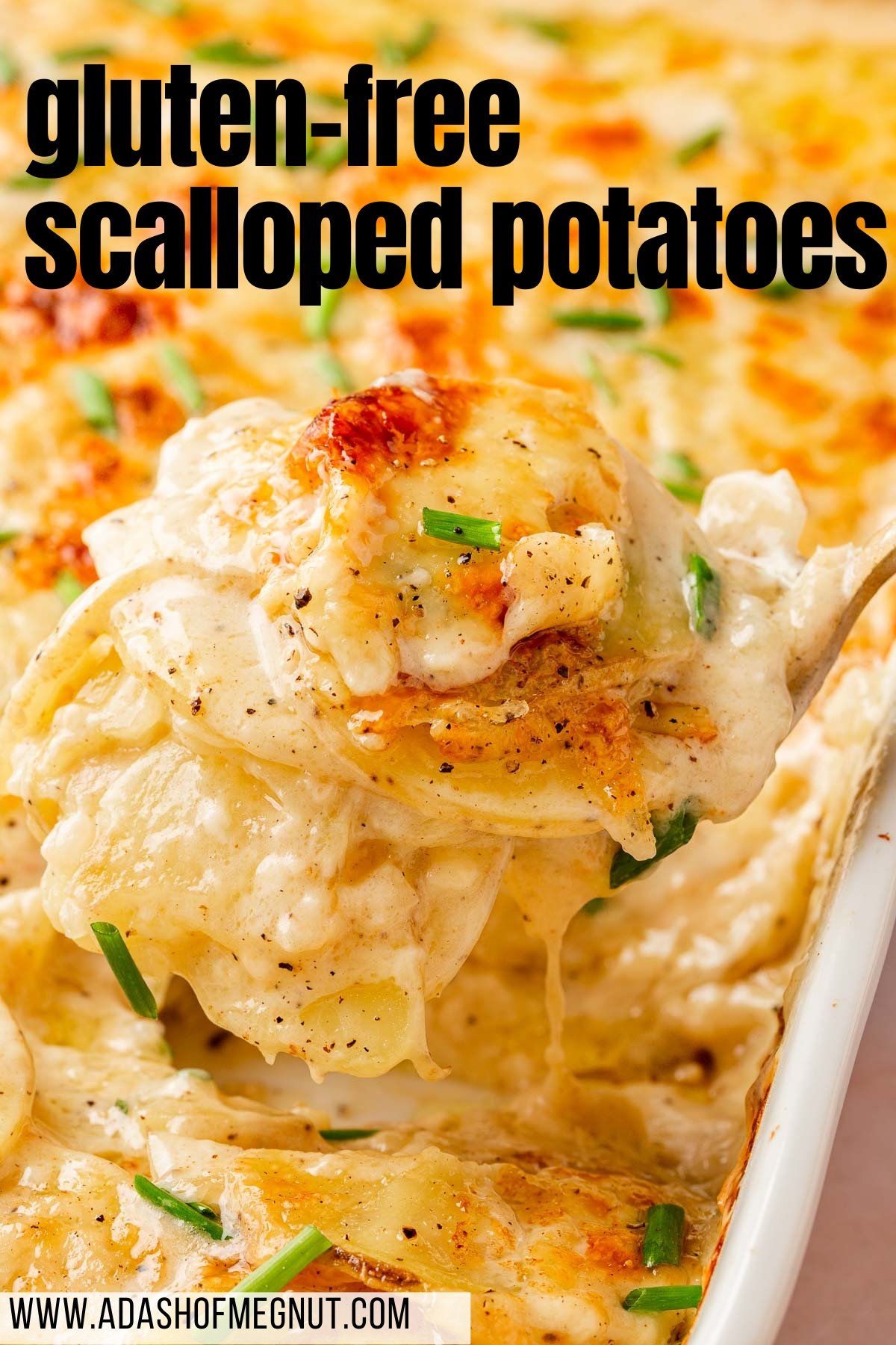 A serving spoon scooping a mound of gluten-free scalloped potatoes out of a 9x13-inch baking pan.