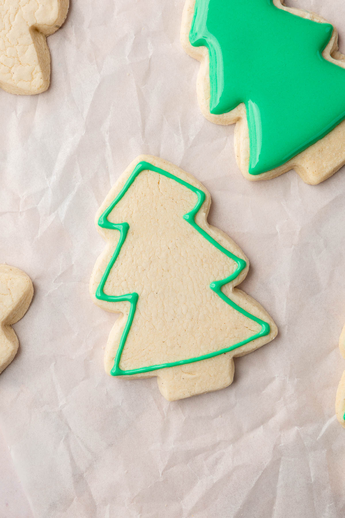 Multiple gluten-free Christmas tree sugar cookies on a piece of parchment paper with one outlined with green royal icing and another completely filled with royal icing.