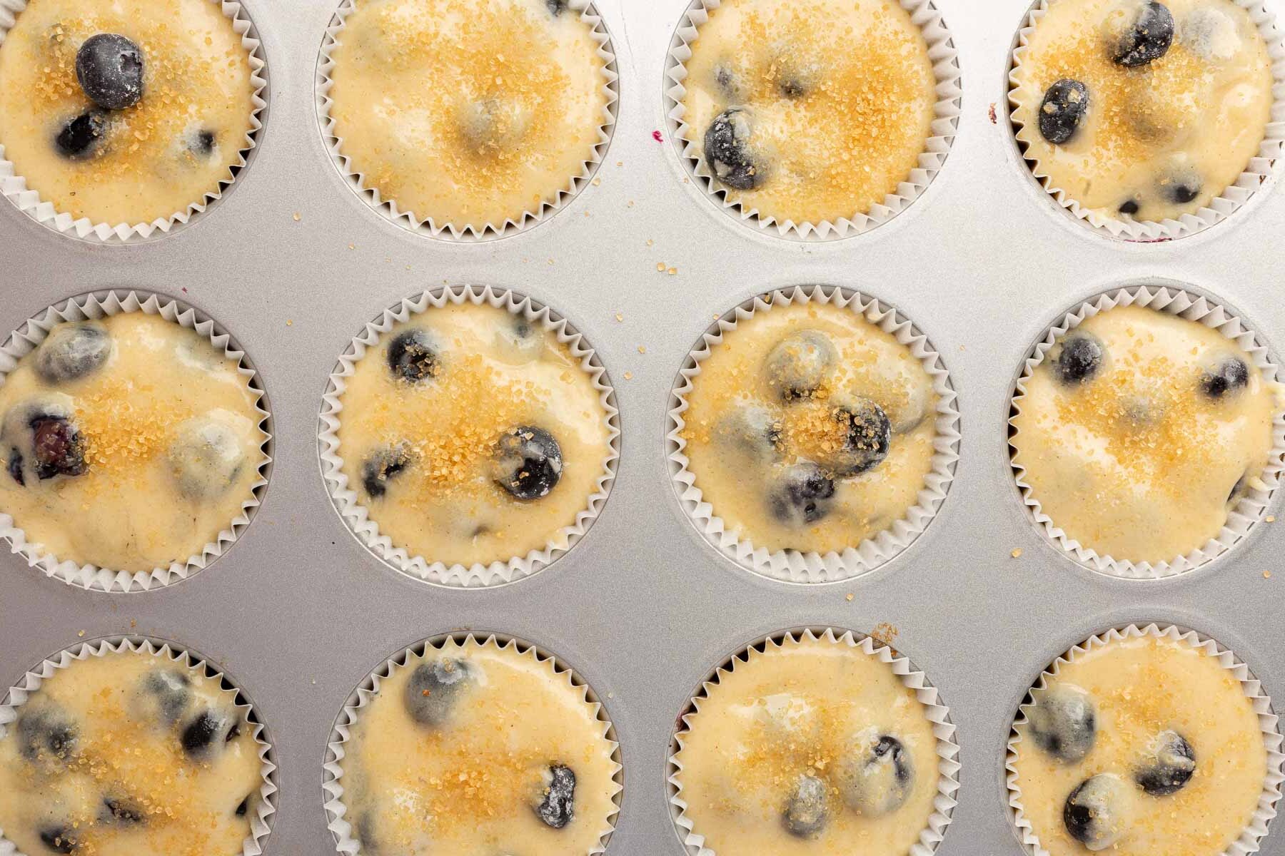 A dozen muffin wells lined with paper liners and filled with gluten-free blueberry muffin batter topped with turbinado sugar before baking in the oven.