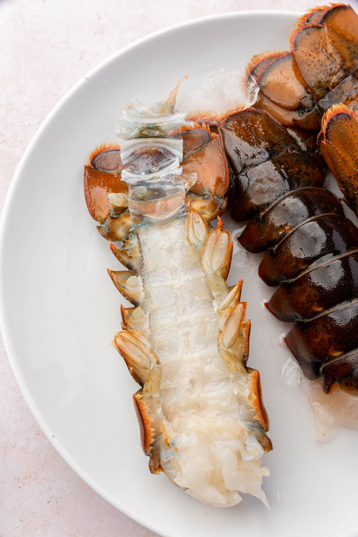 The undersize of the lobster shell is pulled back toward the tail to show the process of removing lobster meat from the shell before cooking.