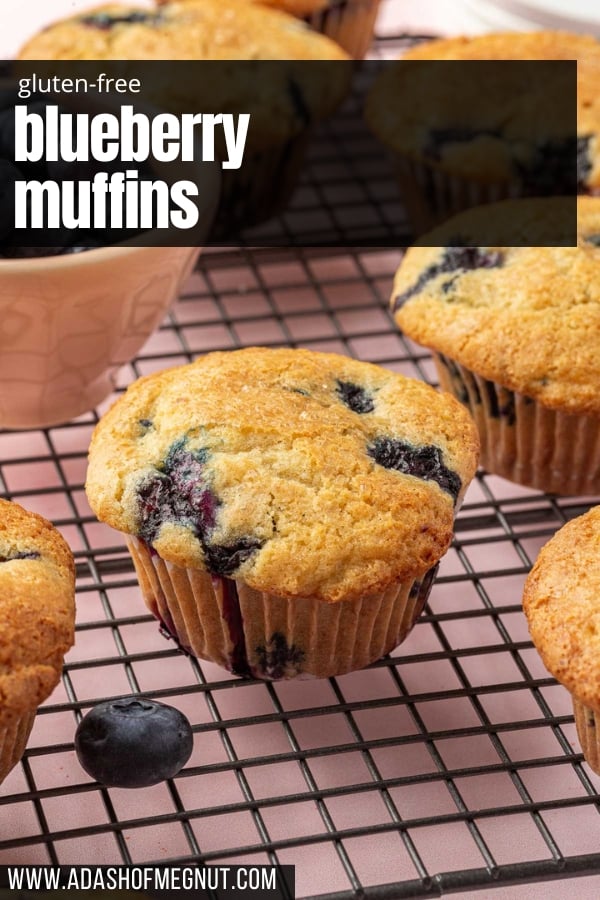 A gf blueberry muffin on a wire cooling rack surrounded by additional blueberry muffins and fresh blueberries.