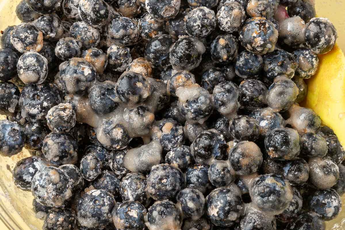 An overhead view of a glass mixing bowl filled with blueberries, granulated sugar, lemon juice, cornstarch, and cinnamon after mixing together.