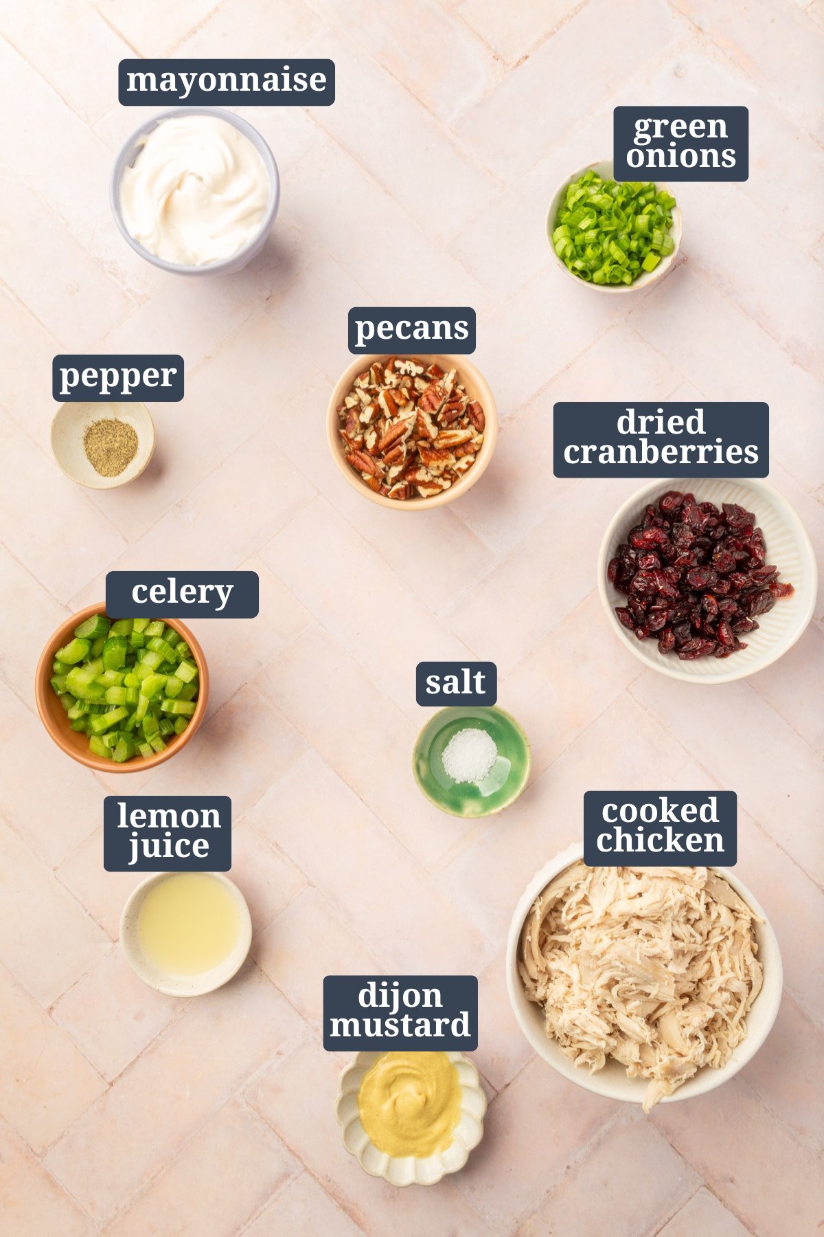 The ingredients for the cranberry pecan chicken salad all laid out in individual serving bowls with name labels on each ingredient such as mayonnaise, green onions, pecans, dried cranberries, pepper, celery, salt, cooked chicken, dijon mustard, and lemon juice.