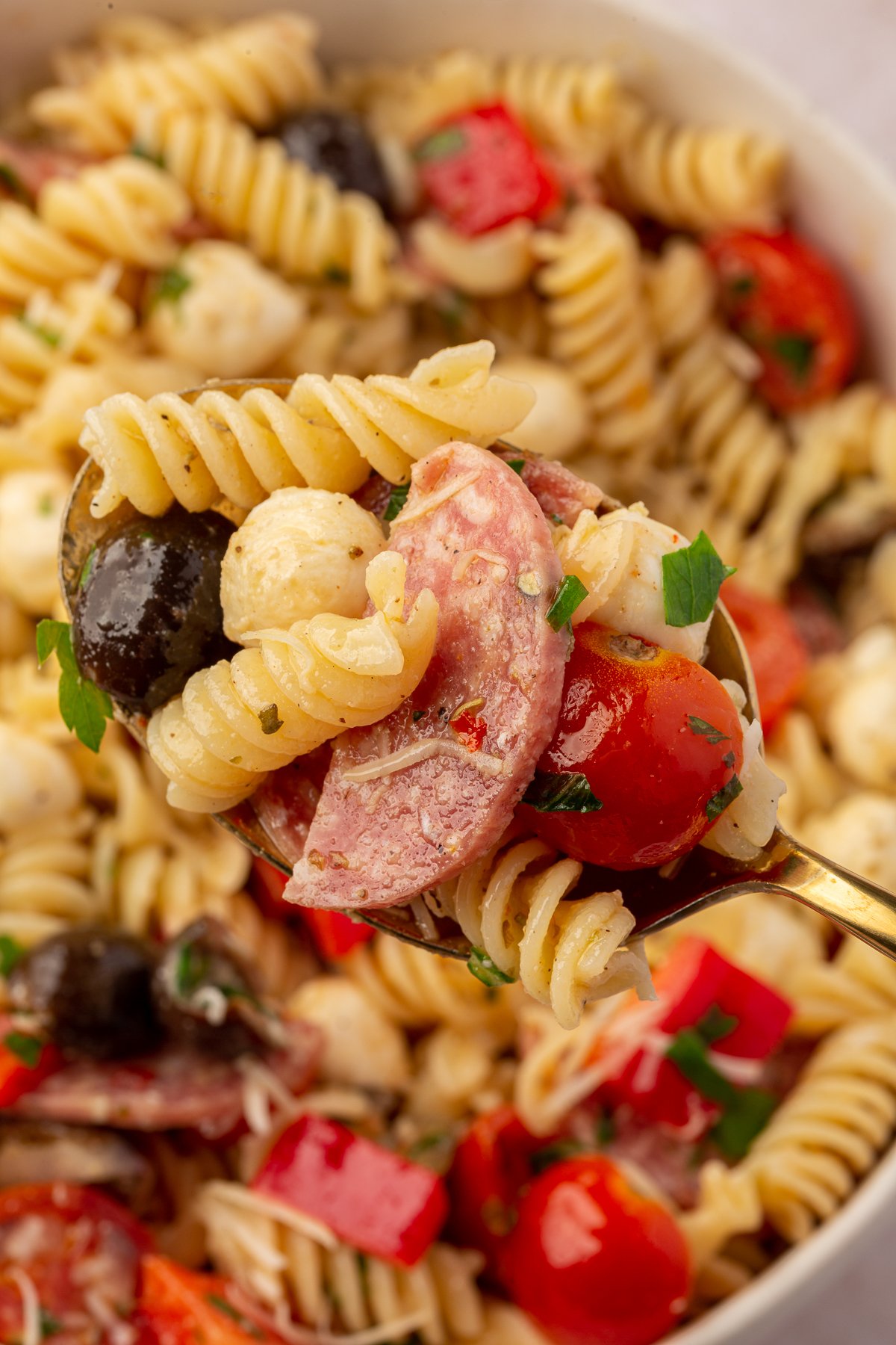 Spoonful of gluten-free pasta salad with pieces of cherry tomato, gluten-free pasta, olives, and mozzarella ball.