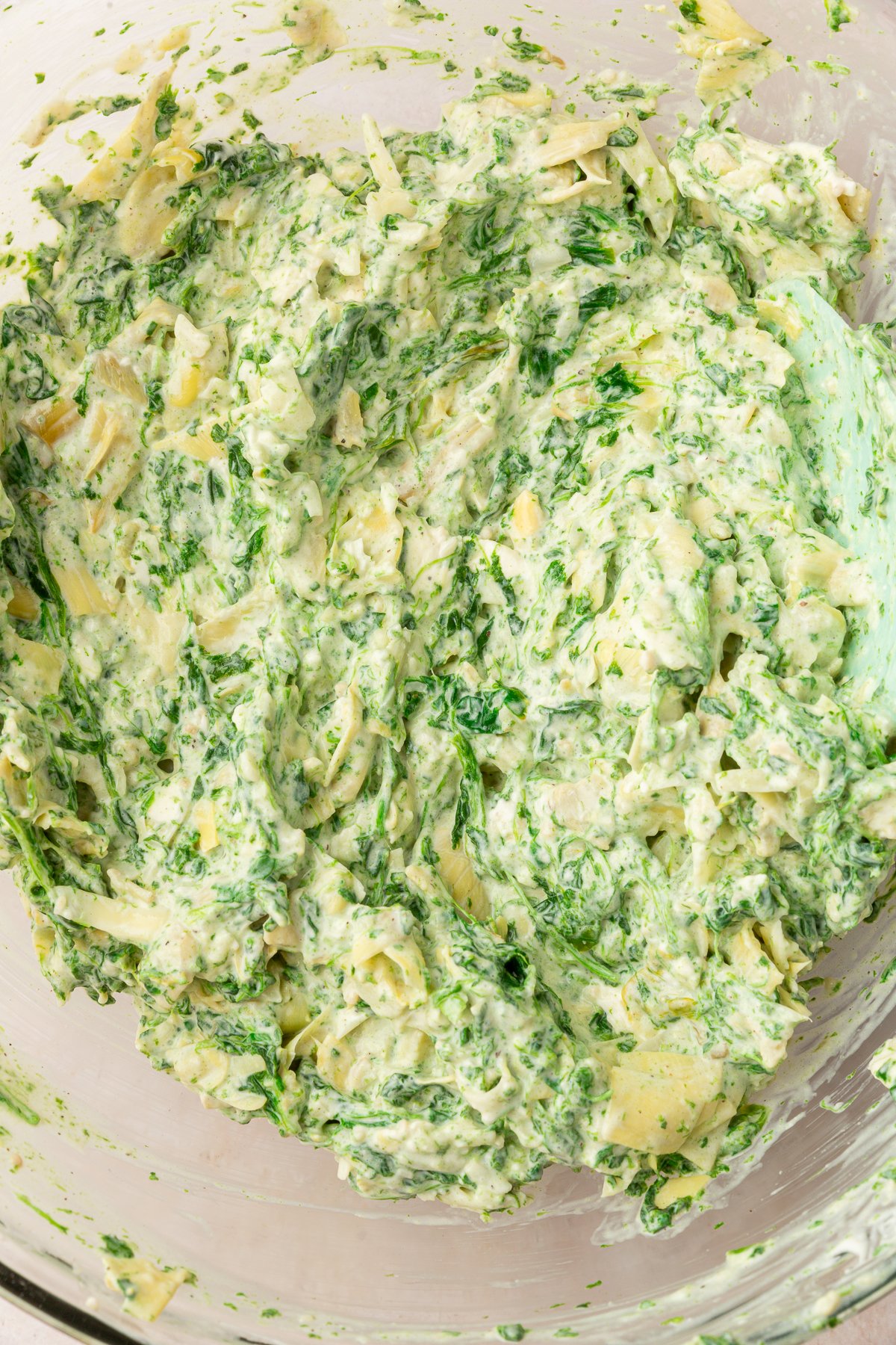 Close up image of ingredients of spinach artichoke dip mixed together in a large, clear mixing bowl.