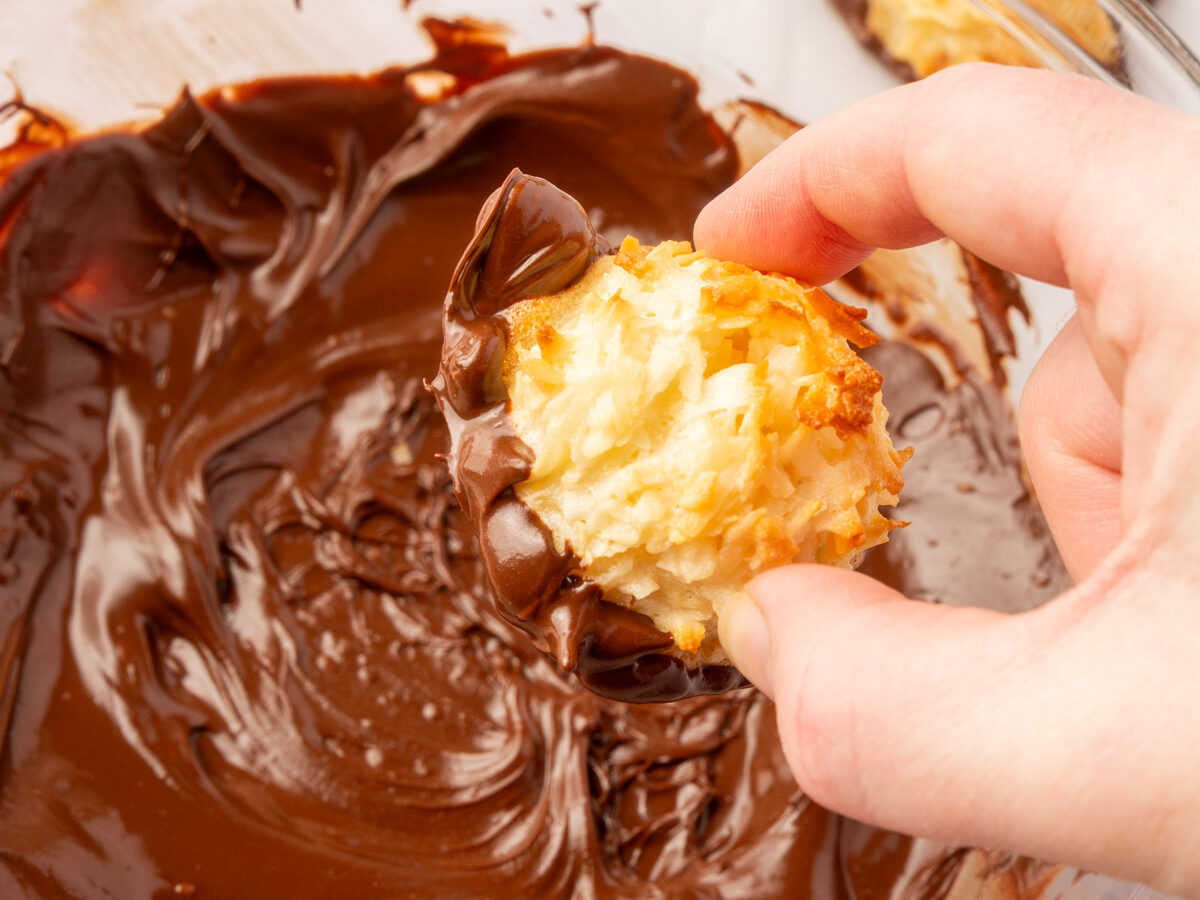A coconut macaroon being dipped halfway into a bowl of smooth, melted chocolate.