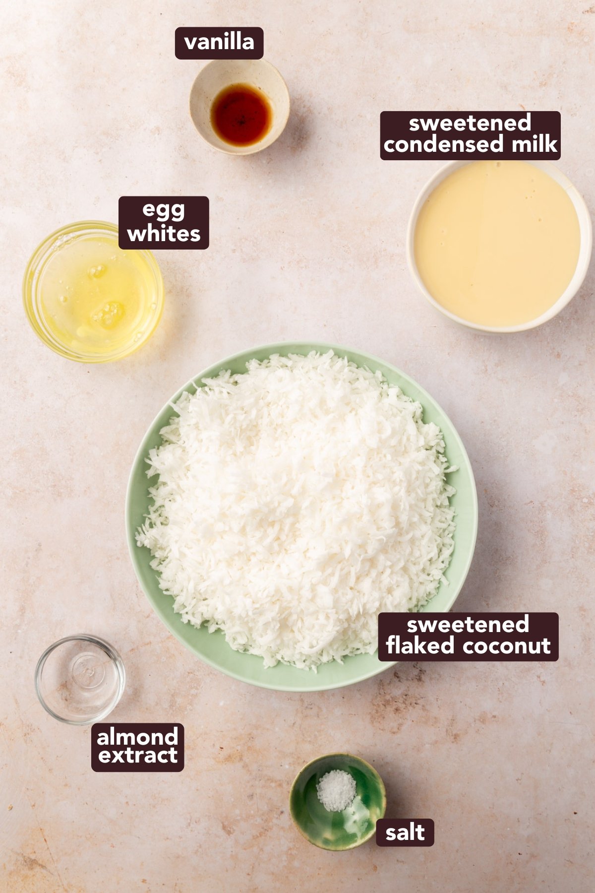 Top-down view of labeled ingredients for coconut macaroons, including shredded coconut, sweetened condensed milk, egg whites, vanilla, almond extract, and salt.
