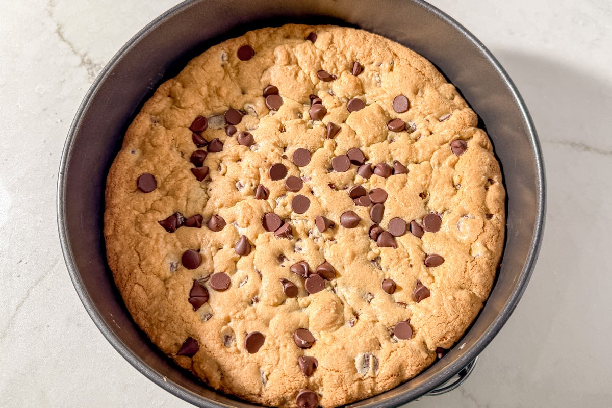 Freshly baked gluten-free cookie cake in a round metal pan, with golden brown edges and chocolate chips on top.