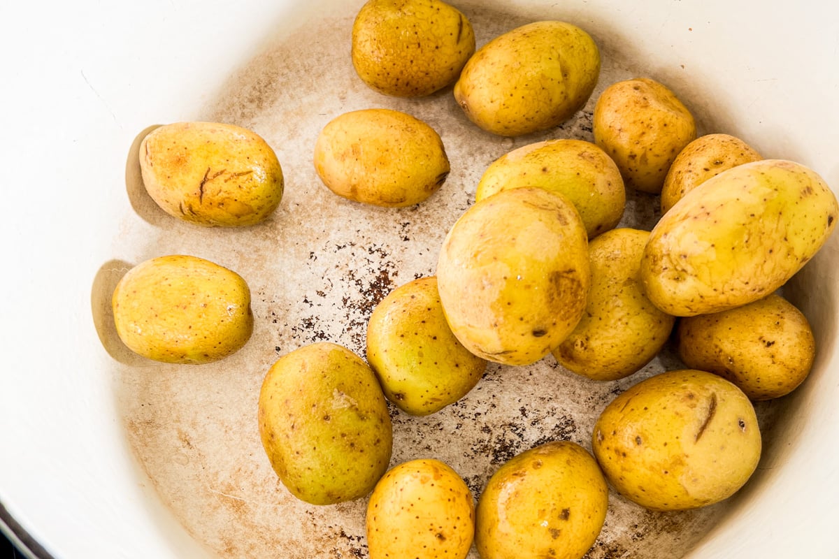 Raw baby Yukon gold potatoes in the bottom of a large pot before boiling.