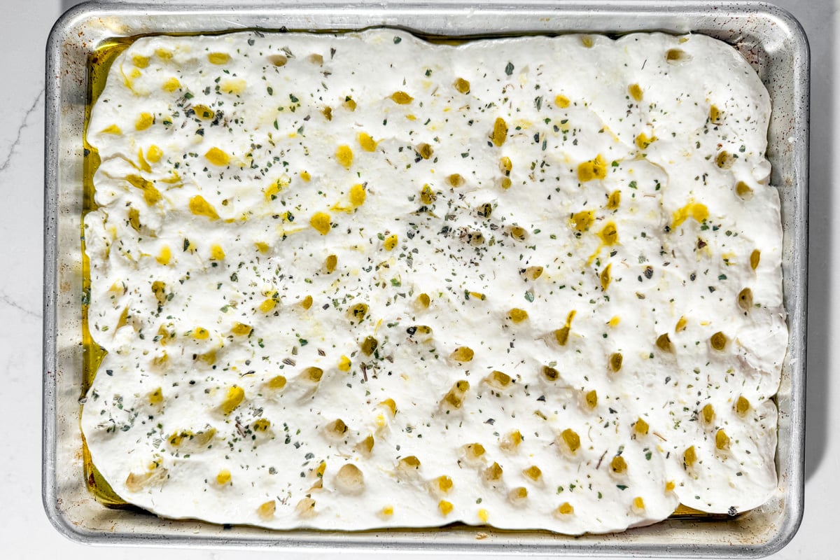 Risen focaccia dough dimpled with olive oil and sprinkled with herbs, ready to parbake.