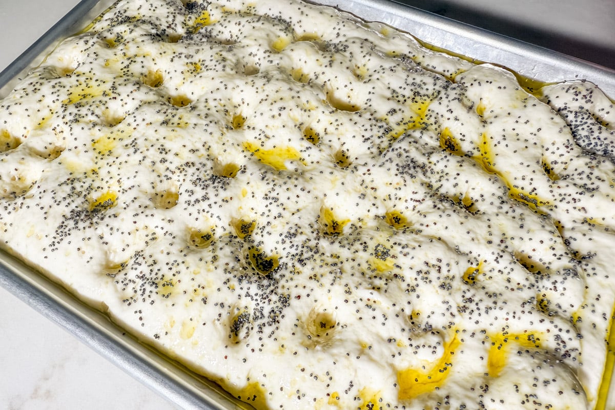 Gluten-free focaccia dough sprinkled with poppy seeds and olive oil just before baking.