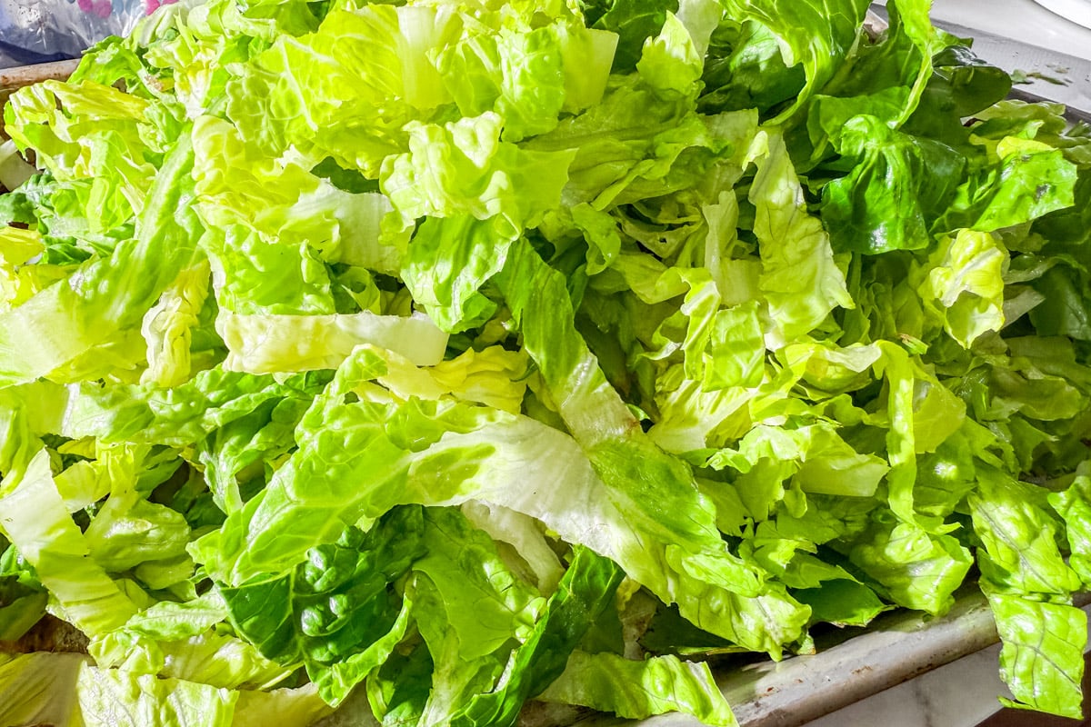 Freshly shredded romaine lettuce for gluten-free taco salad.