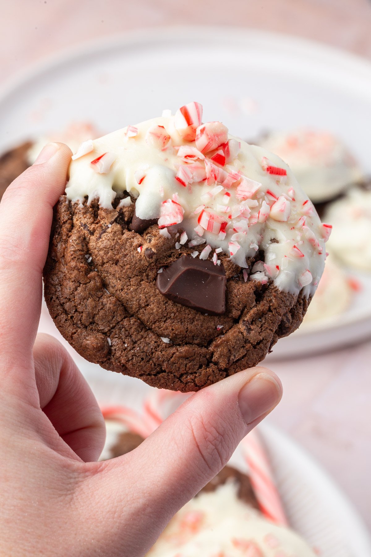 Hand holding gluten-free chocolate peppermint cookie dipped in white chocolate with crushed candy canes and chocolate chunks.