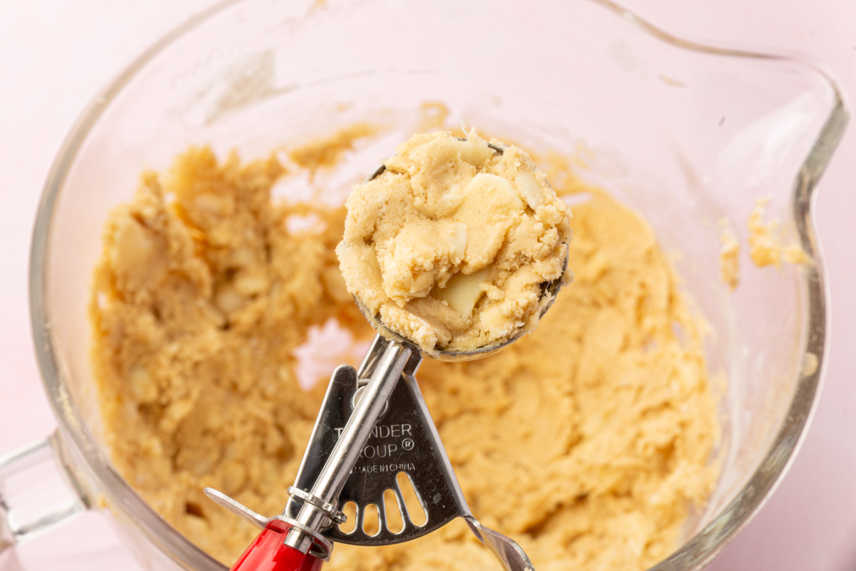 Close-up of a cookie scoop holding dough with white chocolate and macadamia nuts.