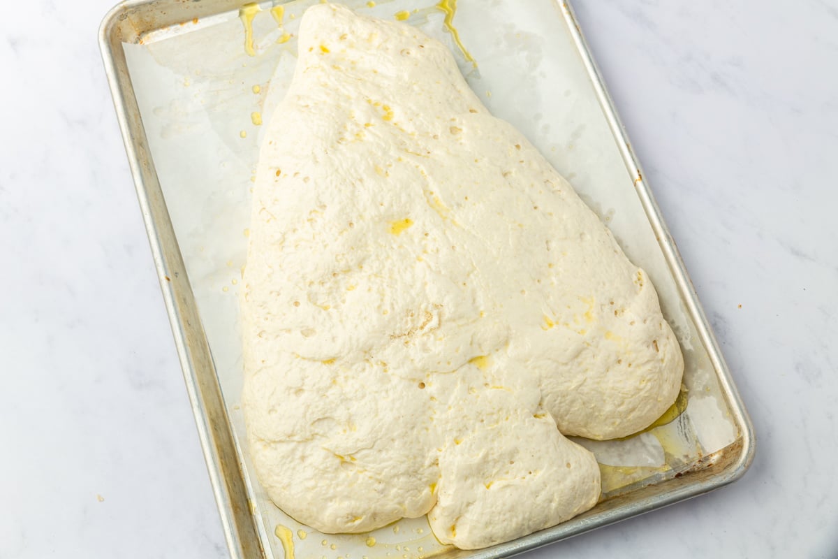 Risen Christmas tree focaccia dough on baking sheet showing puffy texture after 1.5 hours.